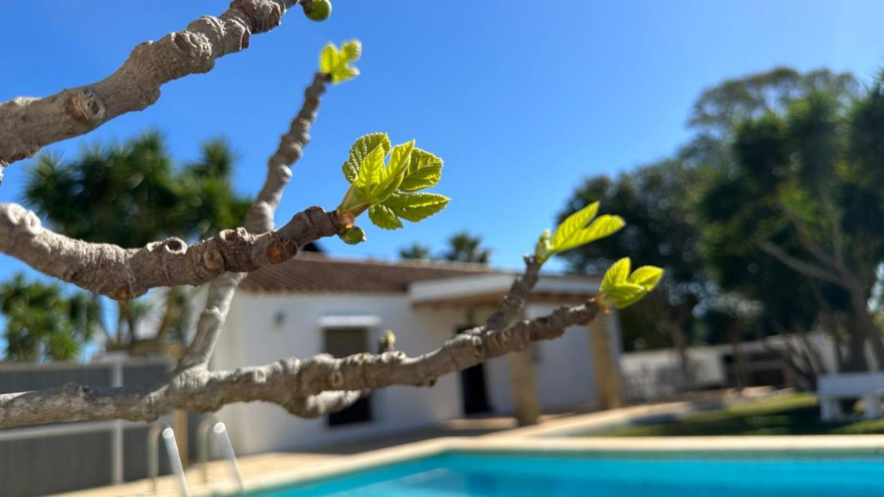 Гостевой дом Vivienda Rural Atlantico Sur & Familias Кониль-де-ла-Фронтера Экстерьер фото